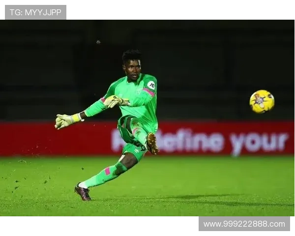 西汉姆联今夏或酝酿阵容大洗牌 西汉姆联今夏或酝酿阵容大洗牌